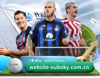 website-ouboky.com.cn的故事